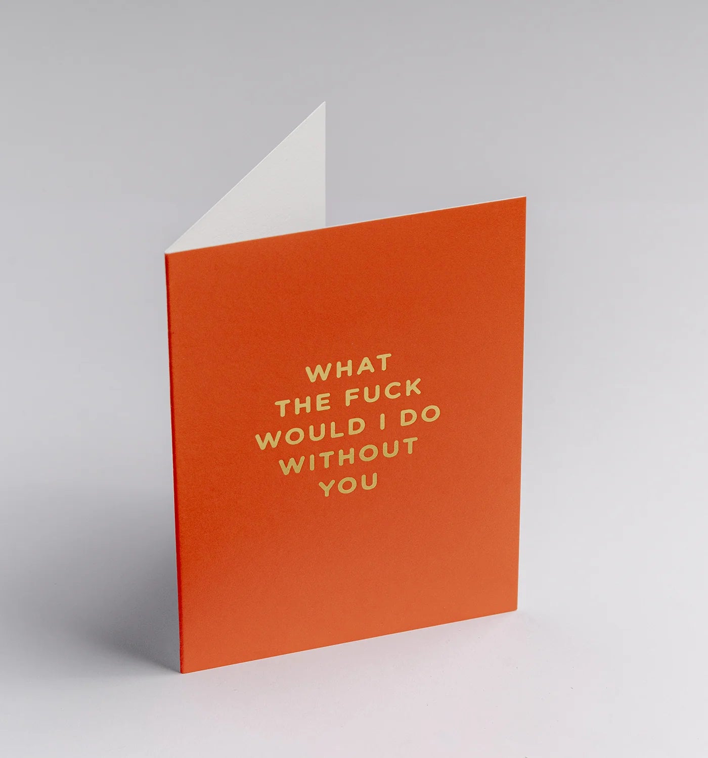 Lagom Mini Greeting Card - What the F*ck Would I Do Without You?