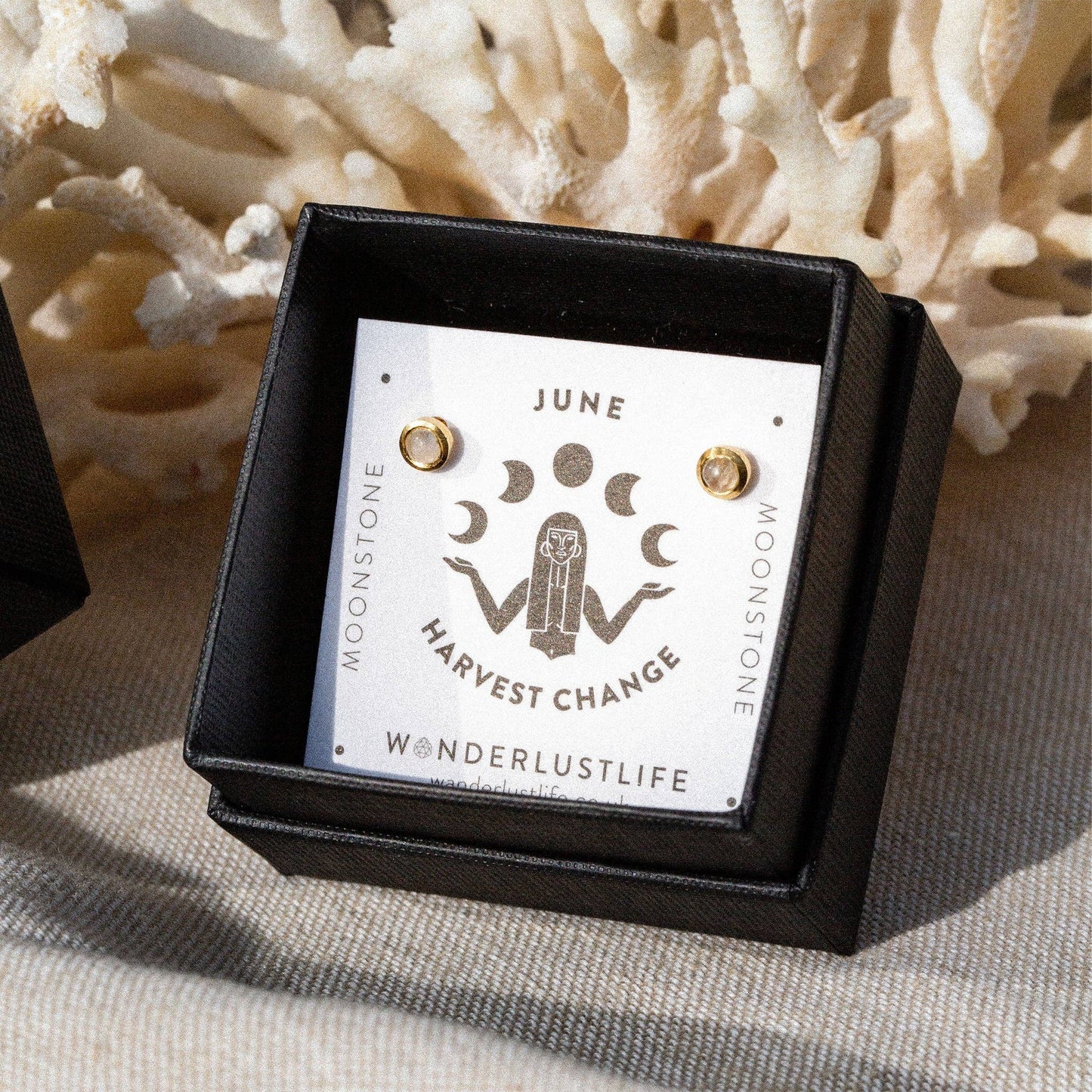 Wanderlust Life - June Moonstone Birthstone Stud Earrings