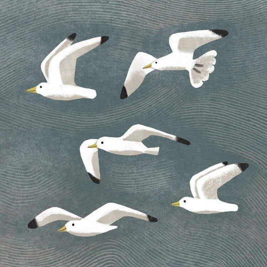 Greetings Card - Seagulls