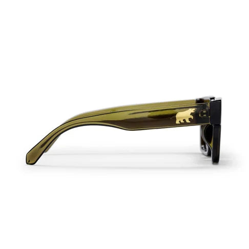 CHPO Max Sunglasses - Moss Green