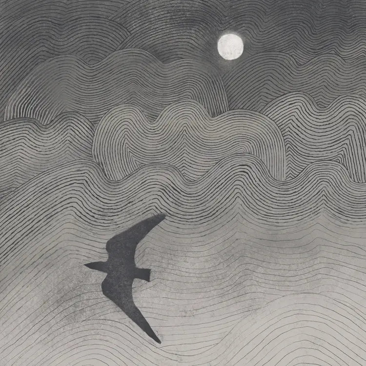 Greetings Card - Shadowbird