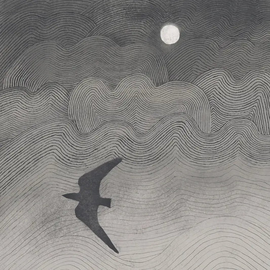 Greetings Card - Shadowbird