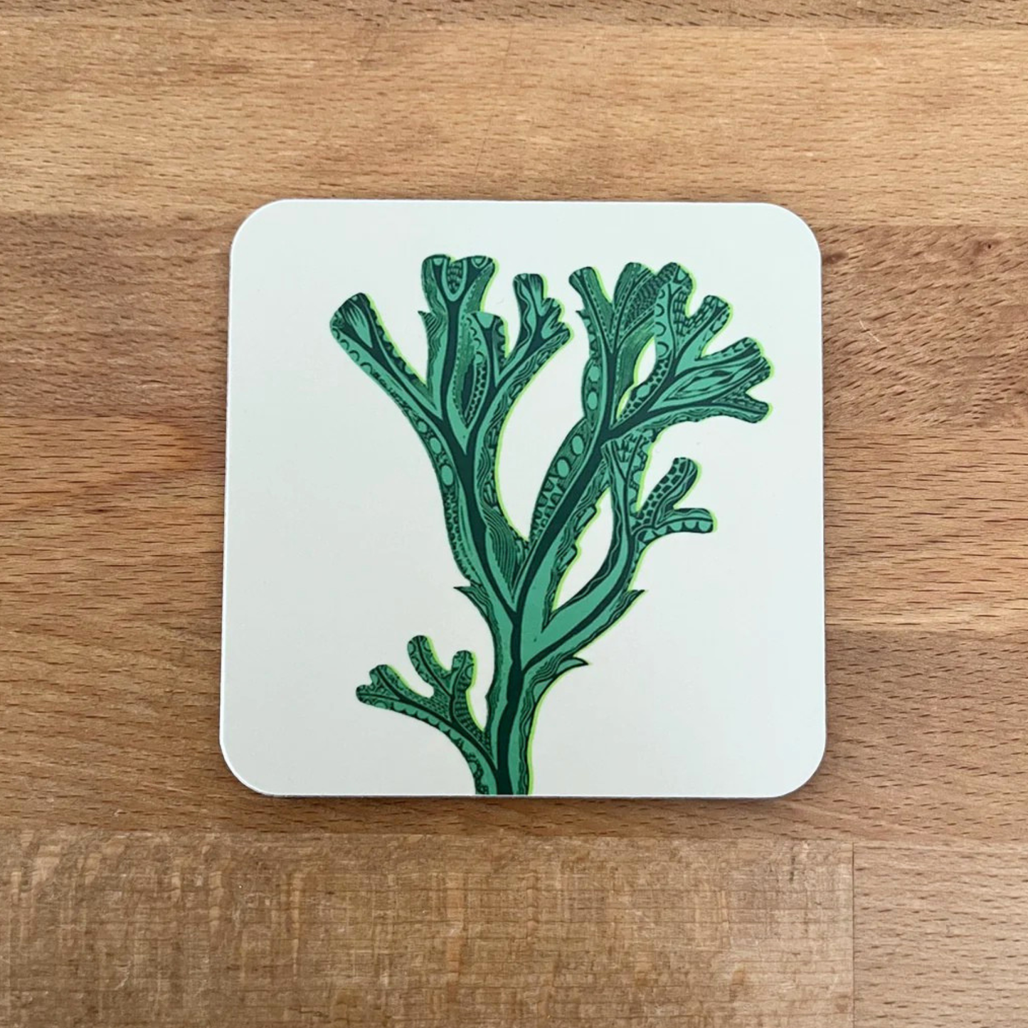 Seaweed Coaster - Green