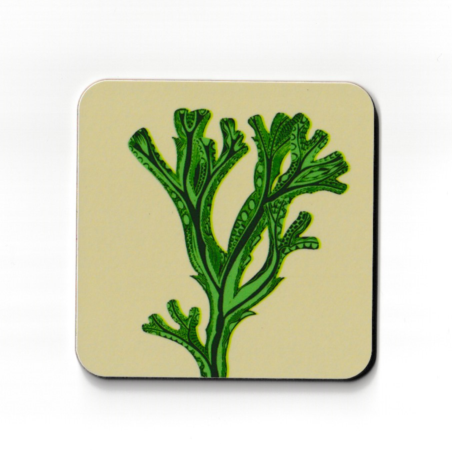 Seaweed Coaster - Green