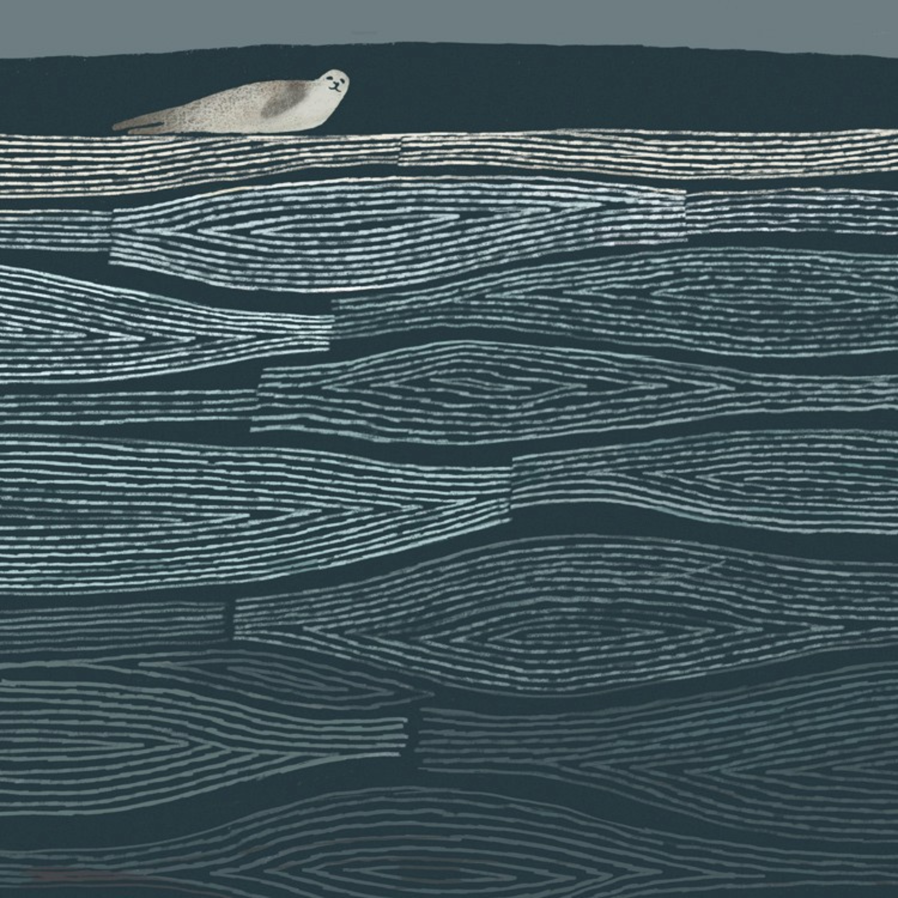 Seal On A Sandbank Greetings Card