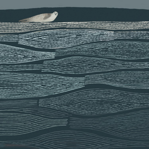 Seal On A Sandbank Greetings Card