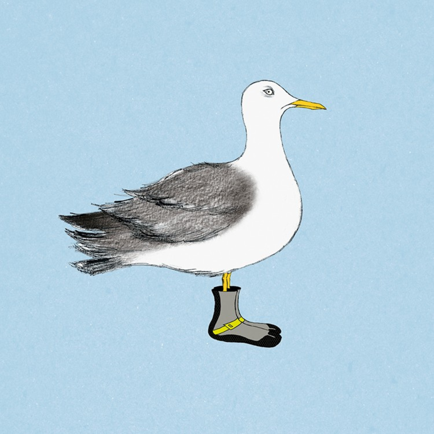 Silver Surfer Seagull Greetings Card