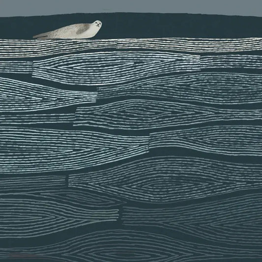 Greetings Card - Seal On A Sandbank