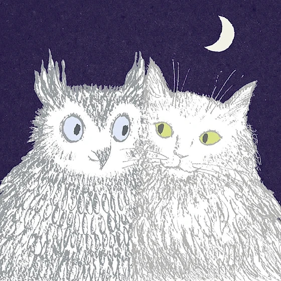Greetings Card - The Owl & The Pussycat