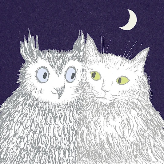 Greetings Card - The Owl & The Pussycat