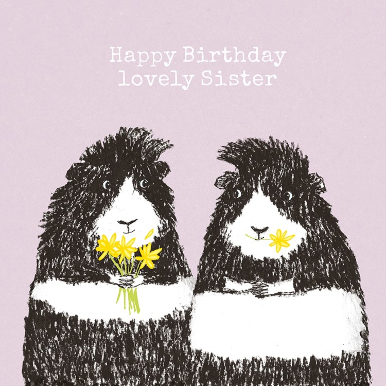 Guinea Pig Birthday Sister Card
