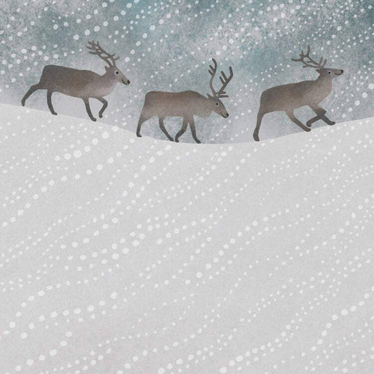 Greetings Card  - Reindeer In The Snow