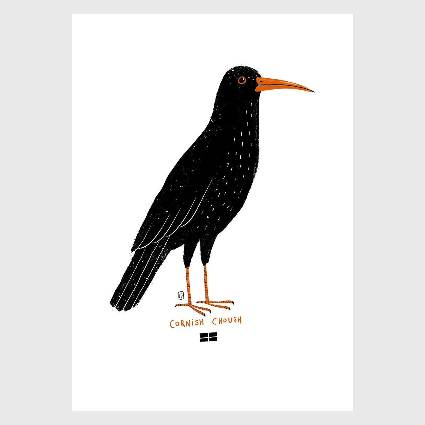 Jago Illustration Print - Cornish Chough