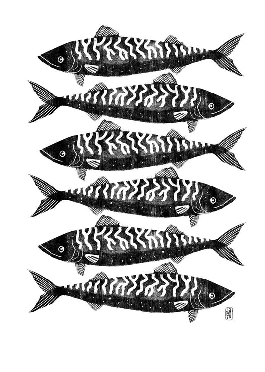 Jago Illustration Print - Cornish Mackerel