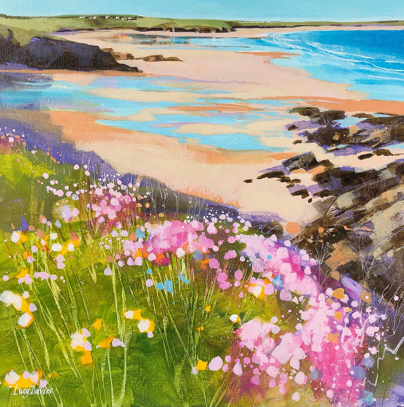 Sea Thrift at Godrevy - Lucy Davies